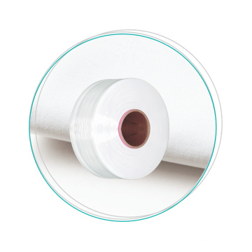 Nylon 6 Mother Yarn